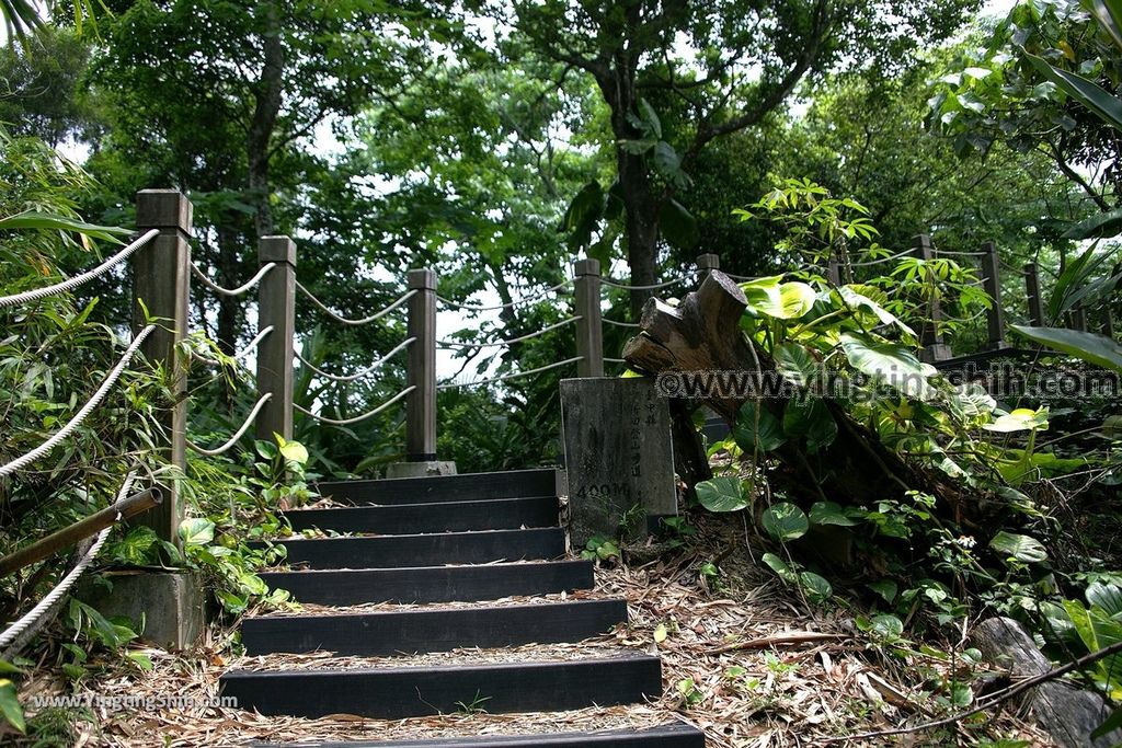 YTS_YTS_20190427_台中潭子新田登山步道／許願池／觀鷹台Taichung Tanzi Xintian Hiking Trail053_539A5613.jpg