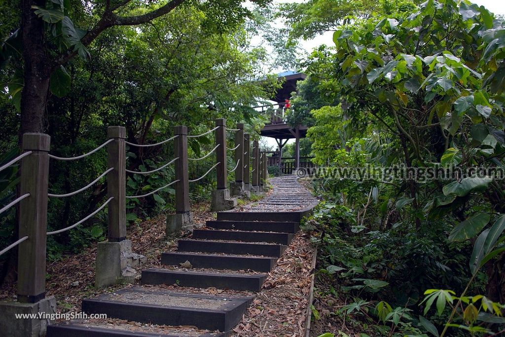 YTS_YTS_20190427_台中潭子新田登山步道／許願池／觀鷹台Taichung Tanzi Xintian Hiking Trail055_539A5615.jpg