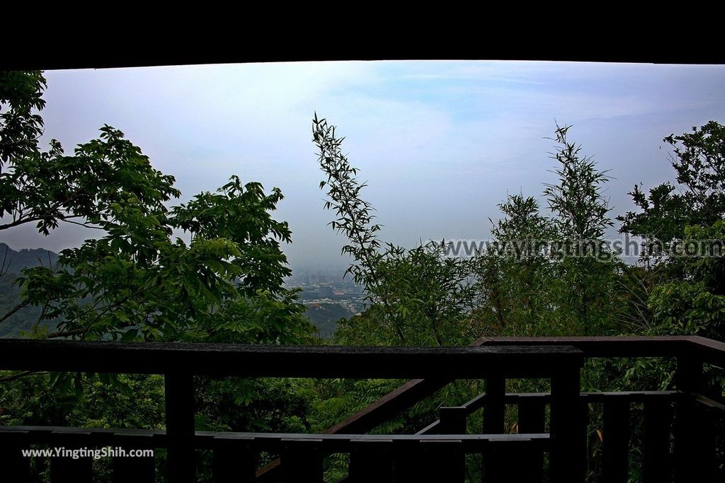 YTS_YTS_20190427_台中潭子新田登山步道／許願池／觀鷹台Taichung Tanzi Xintian Hiking Trail061_539A5633.jpg