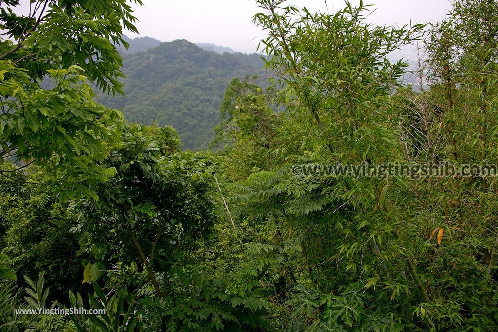 YTS_YTS_20190427_台中潭子新田登山步道／許願池／觀鷹台Taichung Tanzi Xintian Hiking Trail063_539A5630.jpg