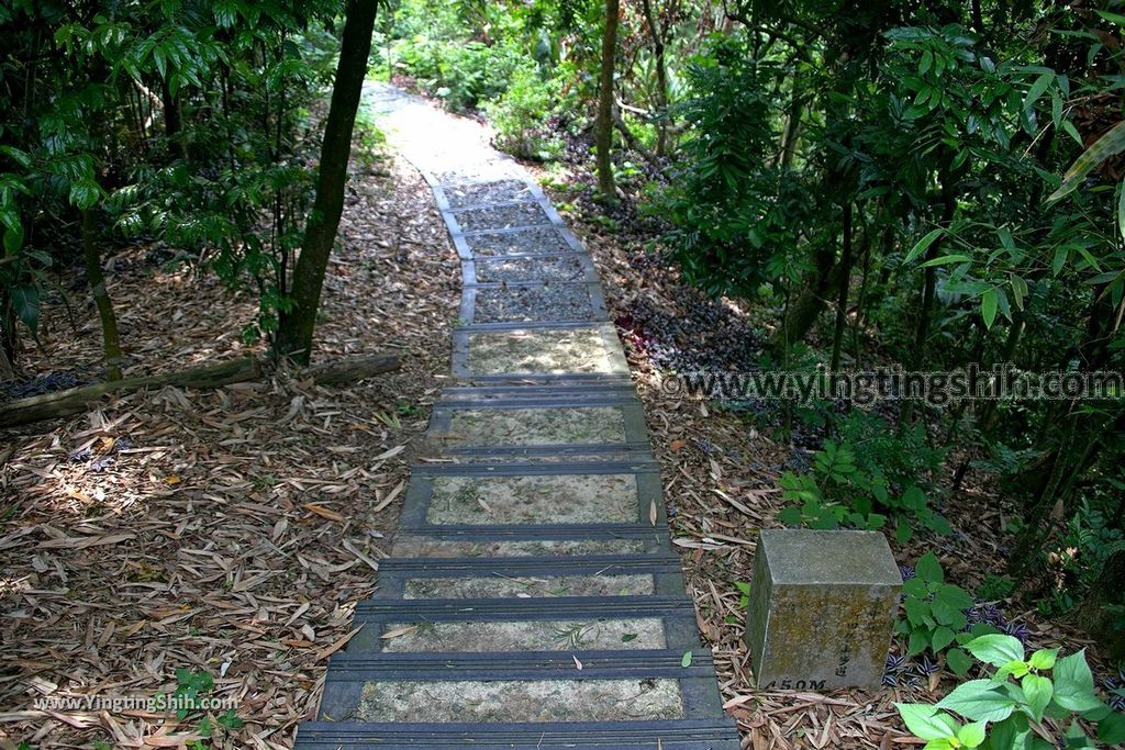 YTS_YTS_20190427_台中潭子新田登山步道／許願池／觀鷹台Taichung Tanzi Xintian Hiking Trail067_539A5644.jpg