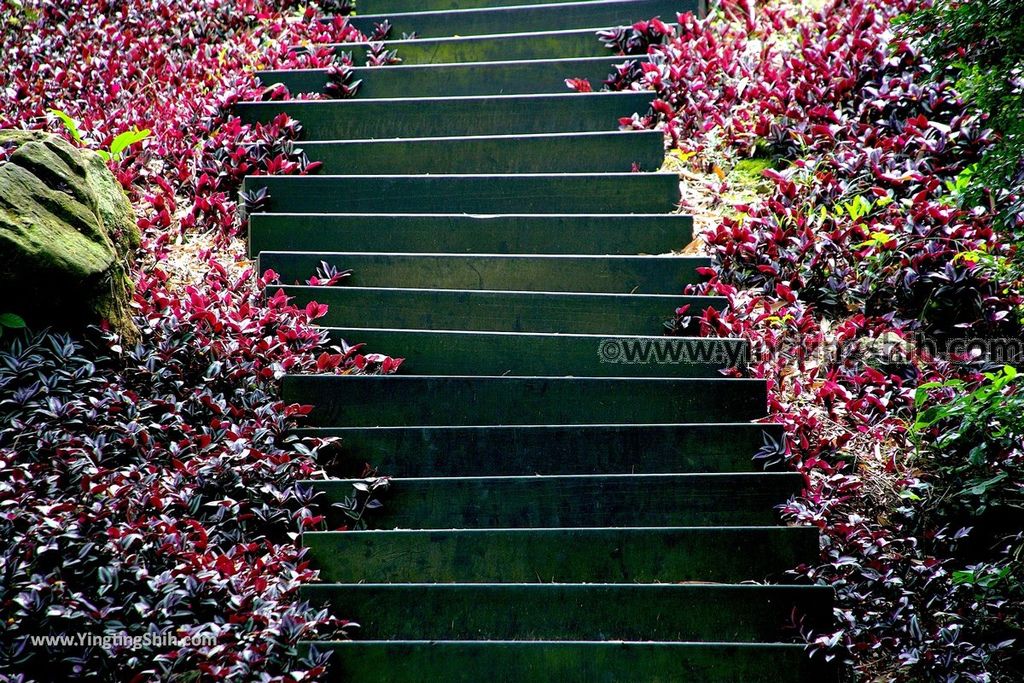 YTS_YTS_20190427_台中潭子新田登山步道／許願池／觀鷹台Taichung Tanzi Xintian Hiking Trail075_539A5651.jpg