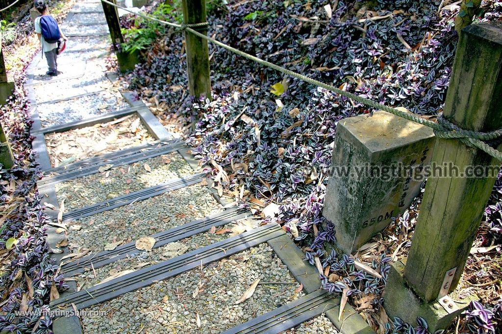 YTS_YTS_20190427_台中潭子新田登山步道／許願池／觀鷹台Taichung Tanzi Xintian Hiking Trail084_539A5675.jpg