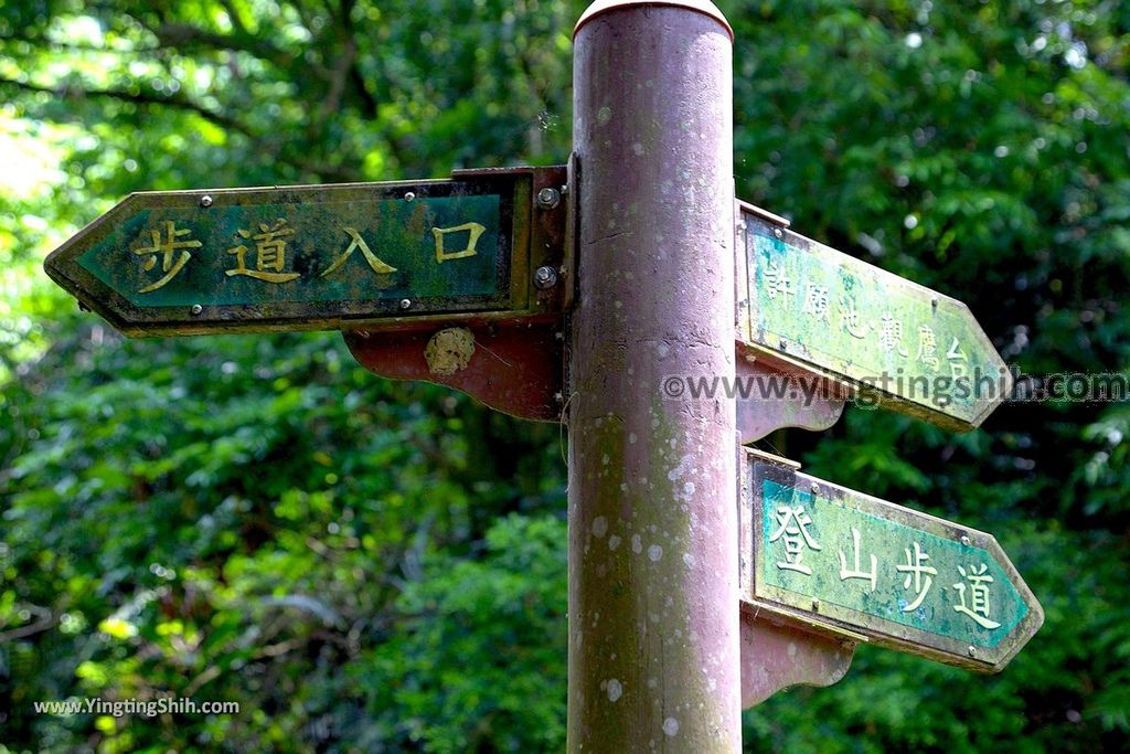 YTS_YTS_20190427_台中潭子新田登山步道／許願池／觀鷹台Taichung Tanzi Xintian Hiking Trail104_539A5704.jpg