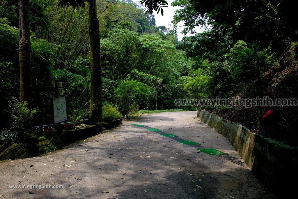 YTS_YTS_20190427_台中潭子新田登山步道／許願池／觀鷹台Taichung Tanzi Xintian Hiking Trail103_539A5706.jpg