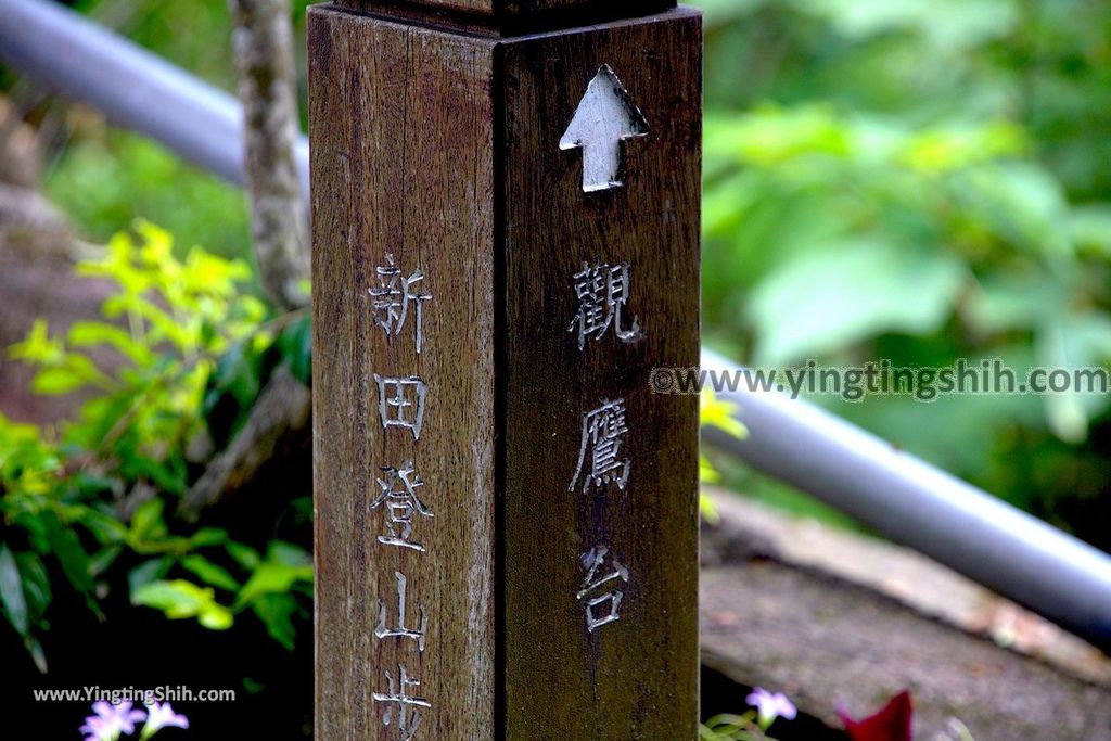 YTS_YTS_20190427_台中潭子新田登山步道／許願池／觀鷹台Taichung Tanzi Xintian Hiking Trail124_539A5737.jpg