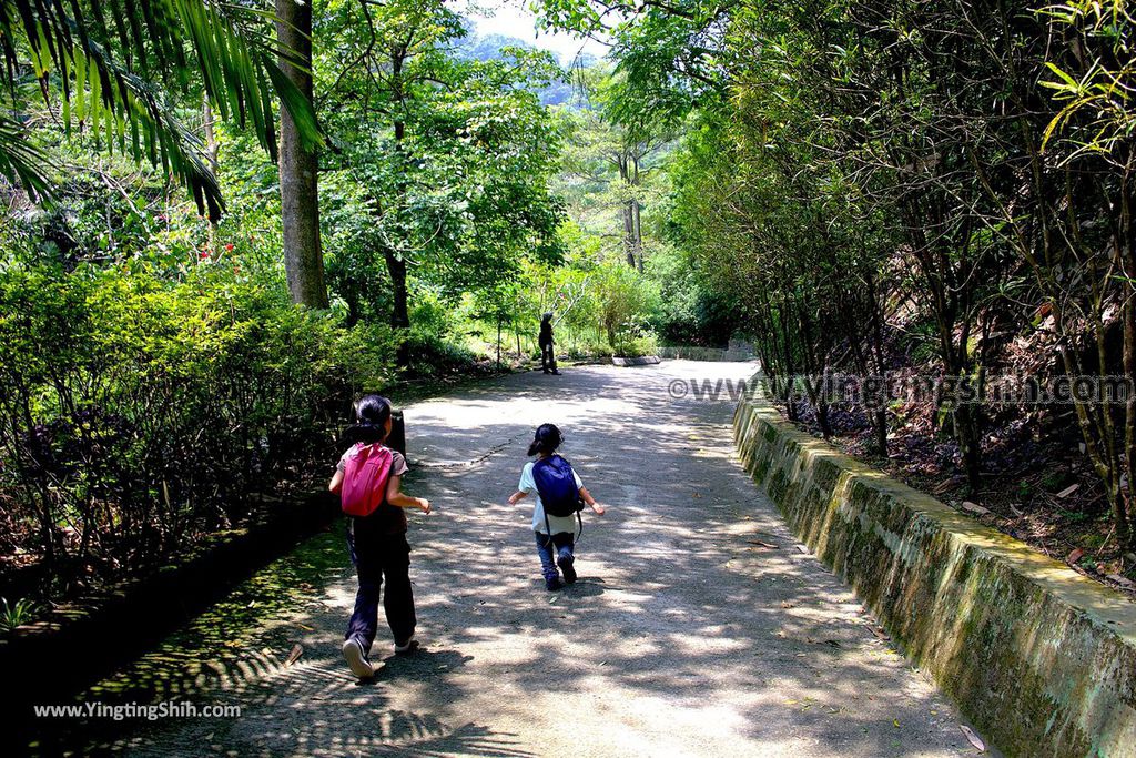 YTS_YTS_20190427_台中潭子新田登山步道／許願池／觀鷹台Taichung Tanzi Xintian Hiking Trail155_539A5777.jpg