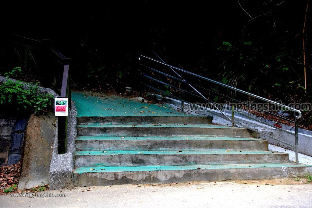 YTS_YTS_20190427_台中潭子新田登山步道／許願池／觀鷹台Taichung Tanzi Xintian Hiking Trail168_539A5806.jpg