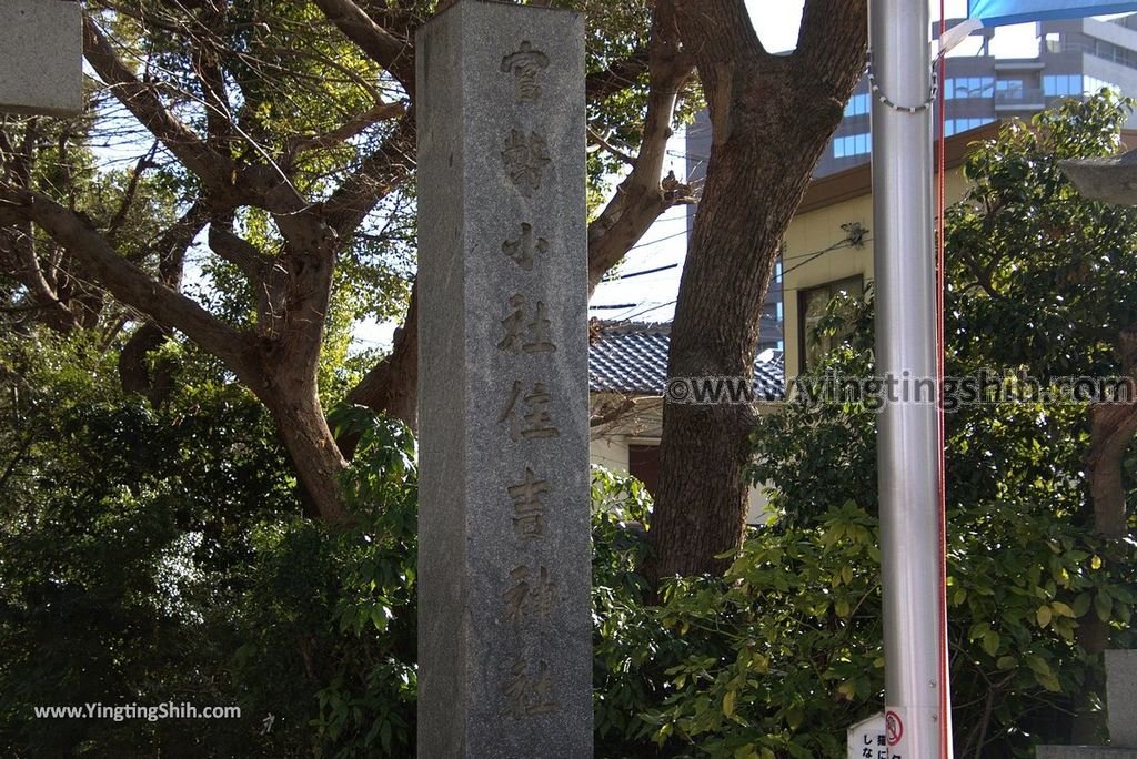 YTS_YTS_20190121_日本九州福岡筑前國一之宮住吉神社Japan Kyushu Fukuoka Sumiyoshi Shrine006_3A5A6106.jpg