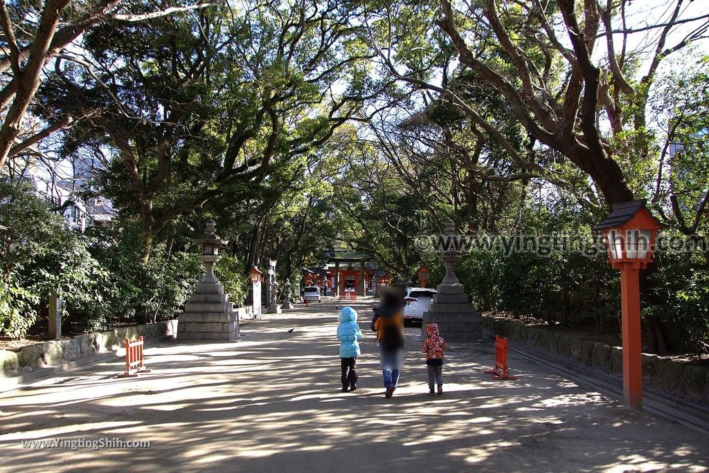 YTS_YTS_20190121_日本九州福岡筑前國一之宮住吉神社Japan Kyushu Fukuoka Sumiyoshi Shrine012_3A5A6119.jpg