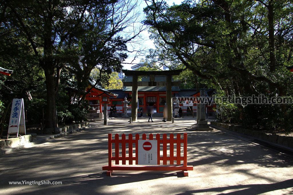 YTS_YTS_20190121_日本九州福岡筑前國一之宮住吉神社Japan Kyushu Fukuoka Sumiyoshi Shrine019_3A5A6204.jpg