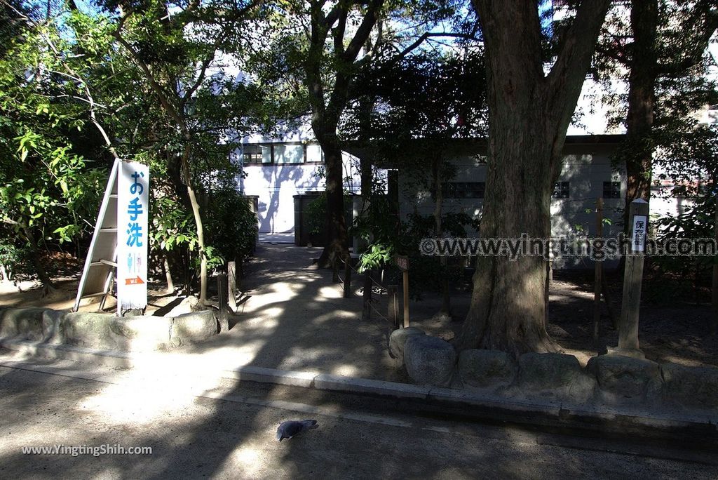 YTS_YTS_20190121_日本九州福岡筑前國一之宮住吉神社Japan Kyushu Fukuoka Sumiyoshi Shrine020_3A5A7059.jpg