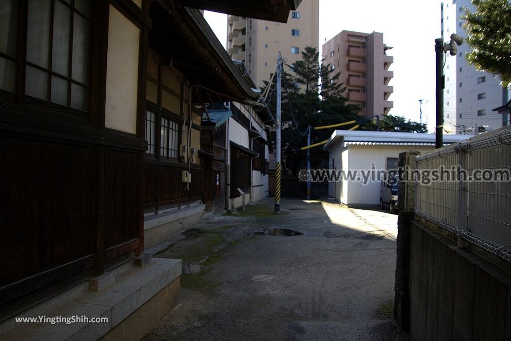 YTS_YTS_20190121_日本九州福岡筑前國一之宮住吉神社Japan Kyushu Fukuoka Sumiyoshi Shrine033_3A5A6775.jpg