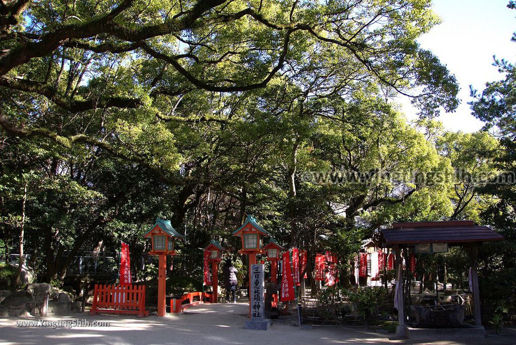 YTS_YTS_20190121_日本九州福岡筑前國一之宮住吉神社Japan Kyushu Fukuoka Sumiyoshi Shrine060_3A5A6376.jpg