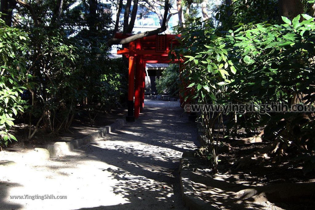 YTS_YTS_20190121_日本九州福岡筑前國一之宮住吉神社Japan Kyushu Fukuoka Sumiyoshi Shrine075_3A5A6733.jpg