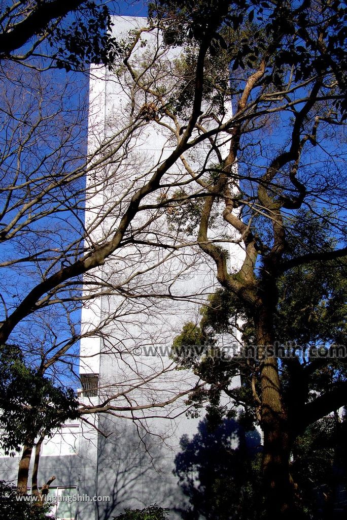 YTS_YTS_20190121_日本九州福岡筑前國一之宮住吉神社Japan Kyushu Fukuoka Sumiyoshi Shrine086_3A5A6716.jpg