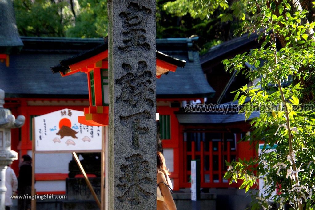 YTS_YTS_20190121_日本九州福岡筑前國一之宮住吉神社Japan Kyushu Fukuoka Sumiyoshi Shrine088_3A5A6215.jpg