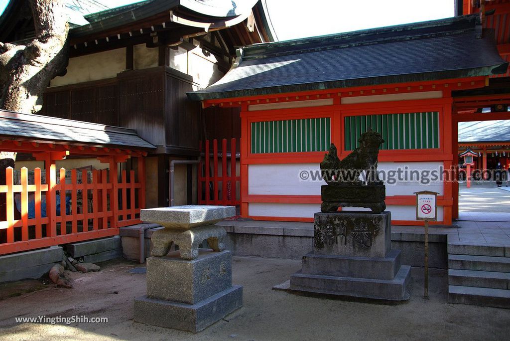 YTS_YTS_20190121_日本九州福岡筑前國一之宮住吉神社Japan Kyushu Fukuoka Sumiyoshi Shrine100_3A5A6799.jpg