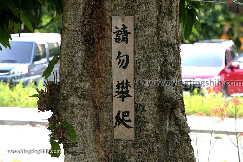 YTS_YTS_20190427_新竹東區暖心樹屋／晴心樹屋／戰車公園Hsinchu East District Chin Chin%5Cs Daydreaming013_539A6467.jpg