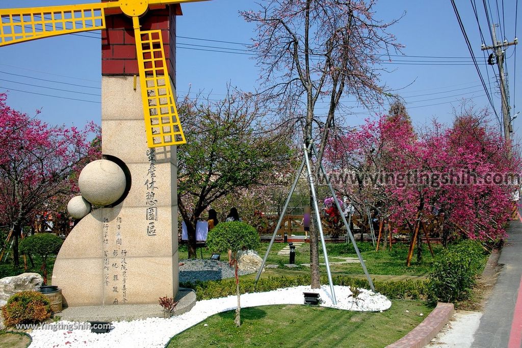 YTS_YTS_20190301_台中烏日彰化芬園花卉生產休憩園區／櫻花園區Taichung Wuri Cherry Blossom Park005_539A4746.jpg