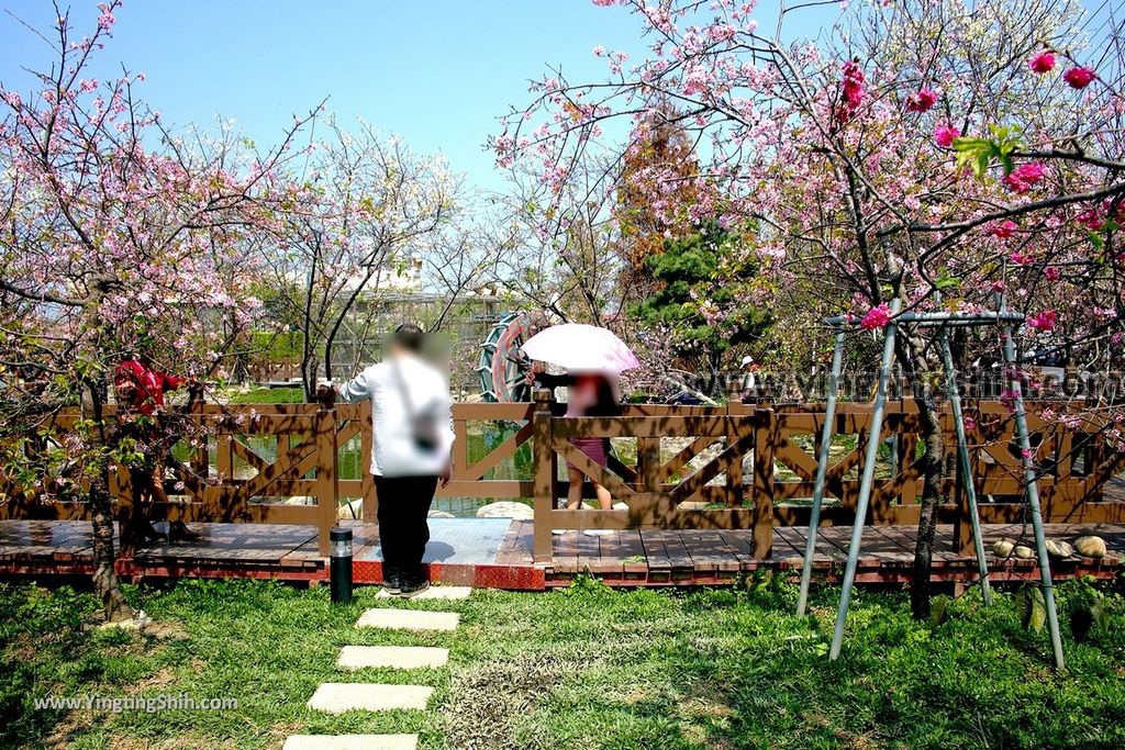 YTS_YTS_20190301_台中烏日彰化芬園花卉生產休憩園區／櫻花園區Taichung Wuri Cherry Blossom Park012_539A4755.jpg