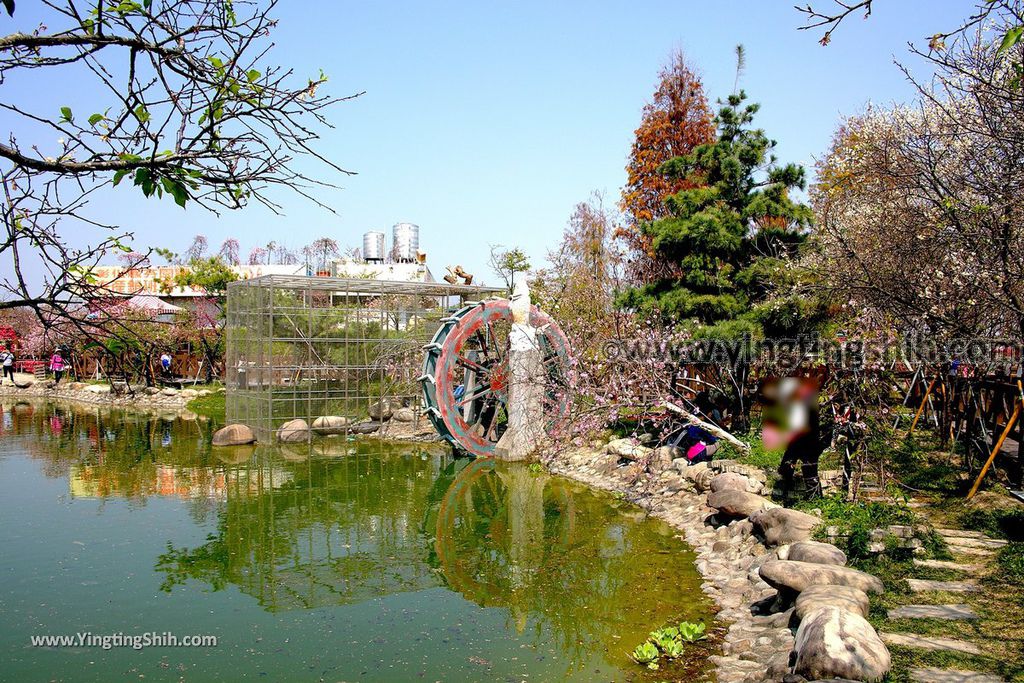 YTS_YTS_20190301_台中烏日彰化芬園花卉生產休憩園區／櫻花園區Taichung Wuri Cherry Blossom Park013_539A4757.jpg