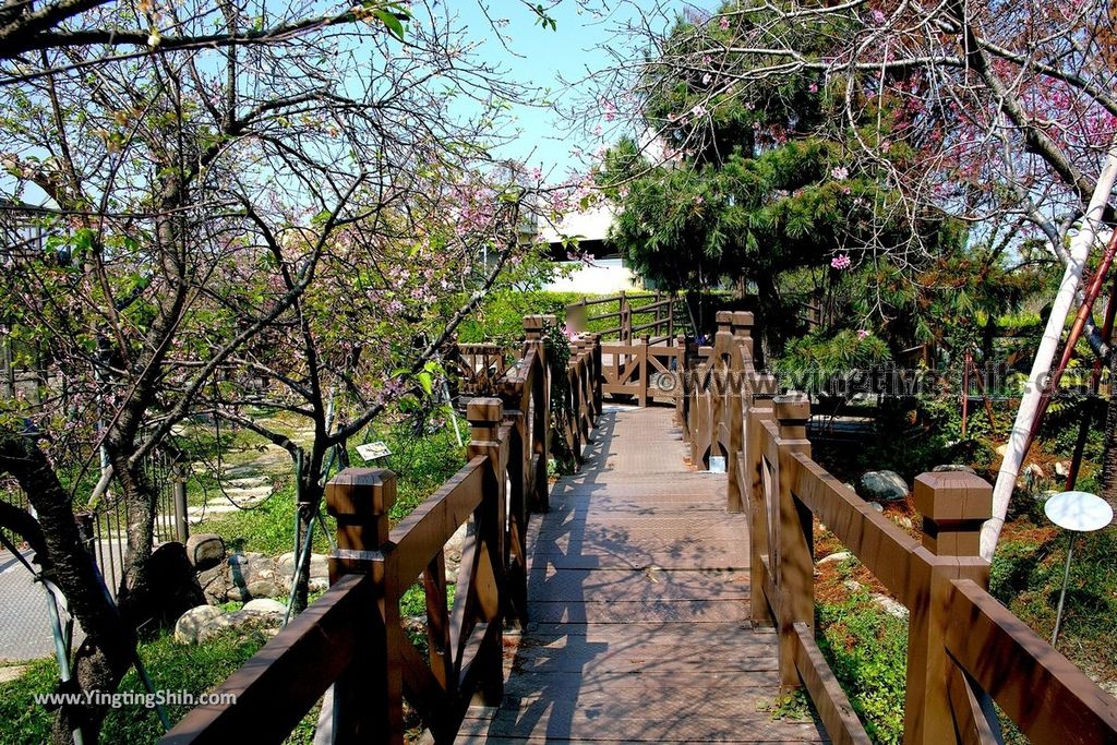 YTS_YTS_20190301_台中烏日彰化芬園花卉生產休憩園區／櫻花園區Taichung Wuri Cherry Blossom Park017_539A4770.jpg