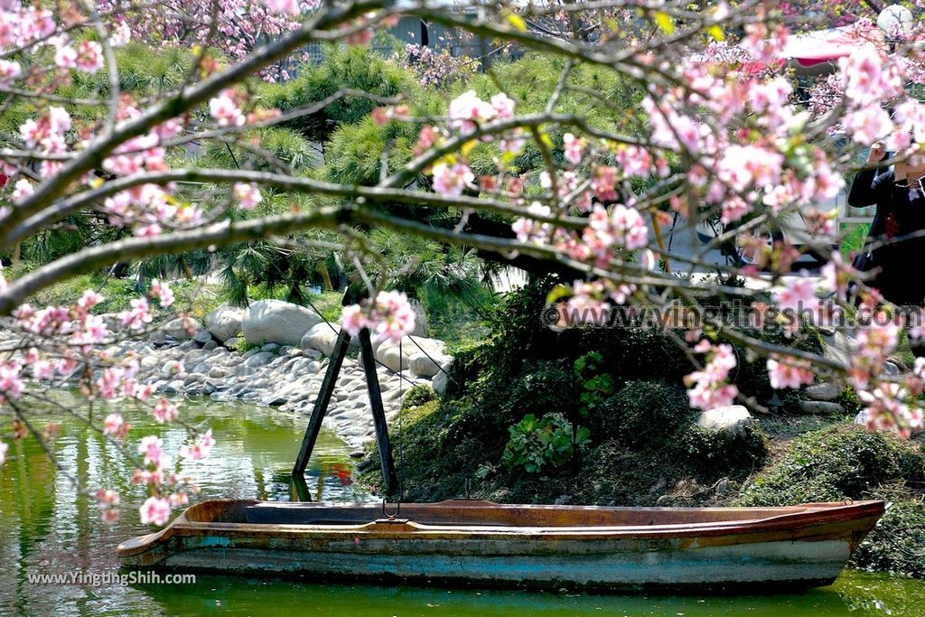 YTS_YTS_20190301_台中烏日彰化芬園花卉生產休憩園區／櫻花園區Taichung Wuri Cherry Blossom Park030_539A4817.jpg