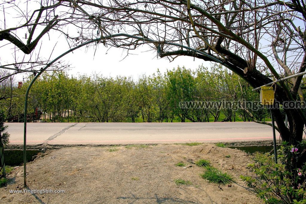 YTS_YTS_20190301_台中烏日彰化芬園花卉生產休憩園區／櫻花園區Taichung Wuri Cherry Blossom Park074_539A5071.jpg