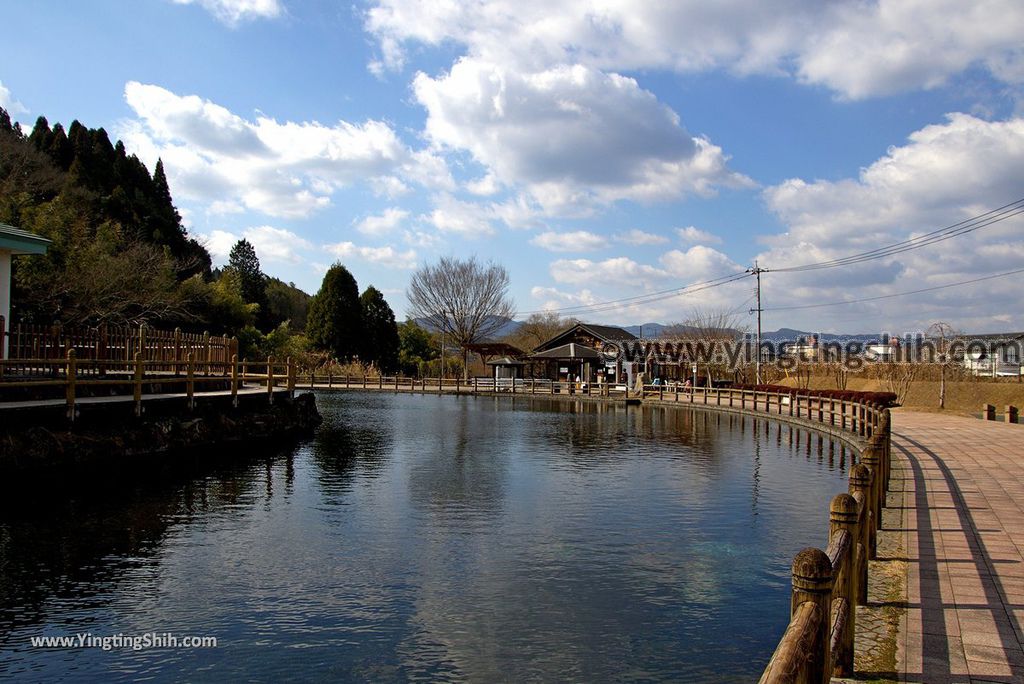 YTS_YTS_20190126_日本九州鹿兒島県姶良霧島山麓丸池湧水／日本名水百選Japan Kagoshima Aira Maruike Pond048_3A5A3125.jpg