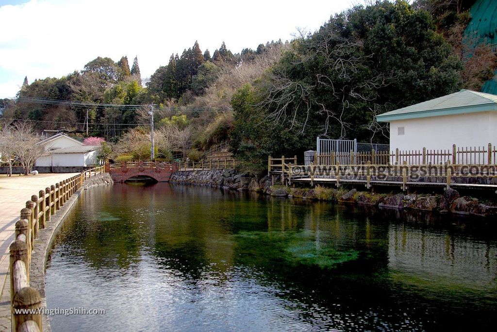 YTS_YTS_20190126_日本九州鹿兒島県姶良霧島山麓丸池湧水／日本名水百選Japan Kagoshima Aira Maruike Pond049_3A5A3207.jpg