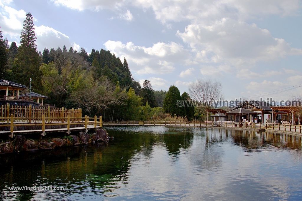 YTS_YTS_20190126_日本九州鹿兒島県姶良霧島山麓丸池湧水／日本名水百選Japan Kagoshima Aira Maruike Pond057_3A5A3187.jpg