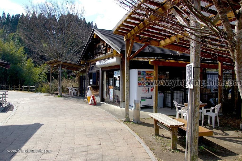 YTS_YTS_20190126_日本九州鹿兒島県姶良霧島山麓丸池湧水／日本名水百選Japan Kagoshima Aira Maruike Pond072_3A5A3270.jpg