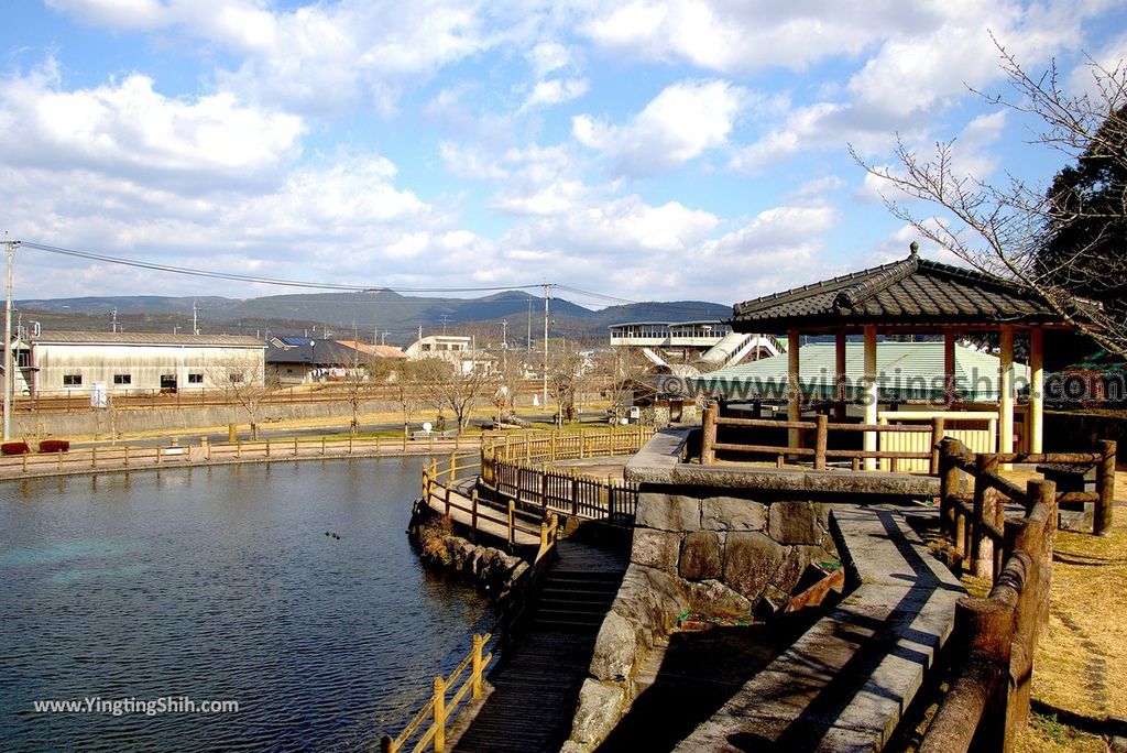 YTS_YTS_20190126_日本九州鹿兒島県姶良霧島山麓丸池湧水／日本名水百選Japan Kagoshima Aira Maruike Pond086_3A5A3391.jpg