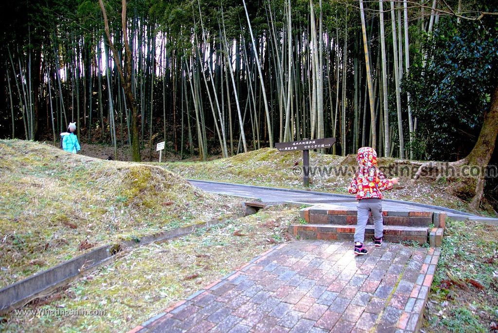 YTS_YTS_20190126_日本九州鹿兒島県姶良霧島山麓丸池湧水／日本名水百選Japan Kagoshima Aira Maruike Pond087_3A5A3395.jpg