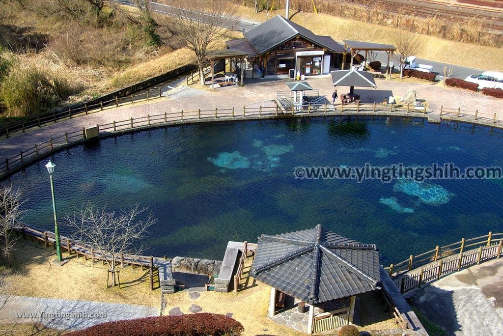 YTS_YTS_20190126_日本九州鹿兒島県姶良霧島山麓丸池湧水／日本名水百選Japan Kagoshima Aira Maruike Pond104_3A5A3528.jpg