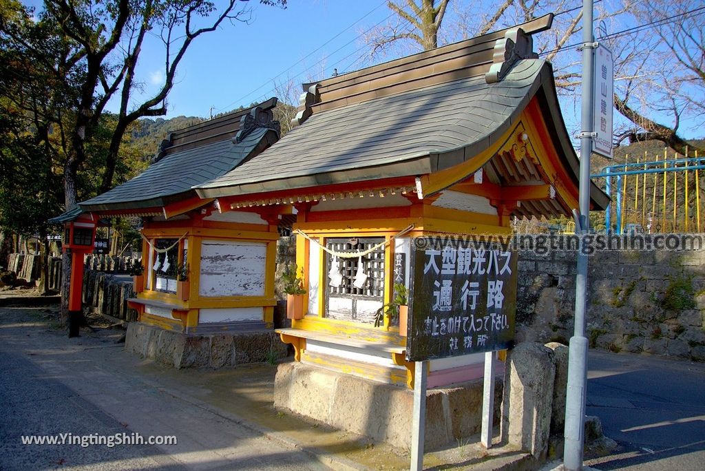 YTS_YTS_20190127_日本九州鹿兒島大隅國一之宮鹿児島神宮Japan Kyushu Kagoshima Kagoshima Shrine004_3A5A6067.jpg