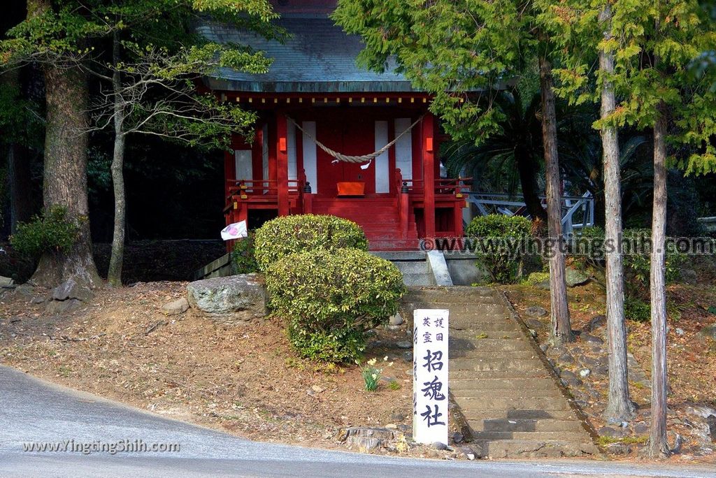 YTS_YTS_20190127_日本九州鹿兒島大隅國一之宮鹿児島神宮Japan Kyushu Kagoshima Kagoshima Shrine031_3A5A5394.jpg