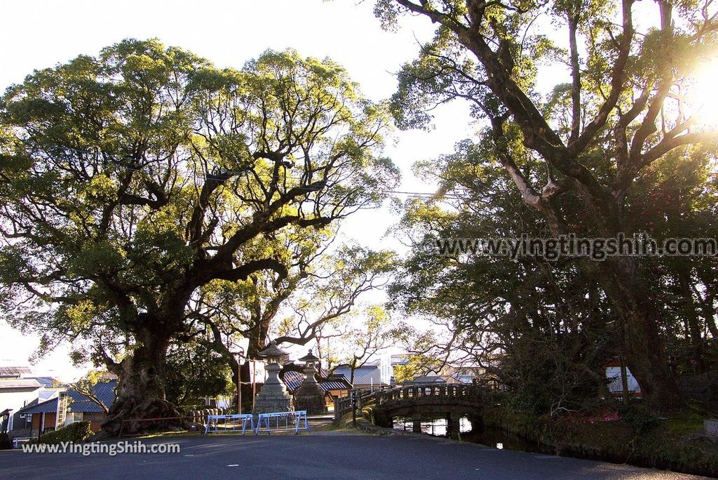 YTS_YTS_20190127_日本九州鹿兒島大隅國一之宮鹿児島神宮Japan Kyushu Kagoshima Kagoshima Shrine033_3A5A6346.jpg