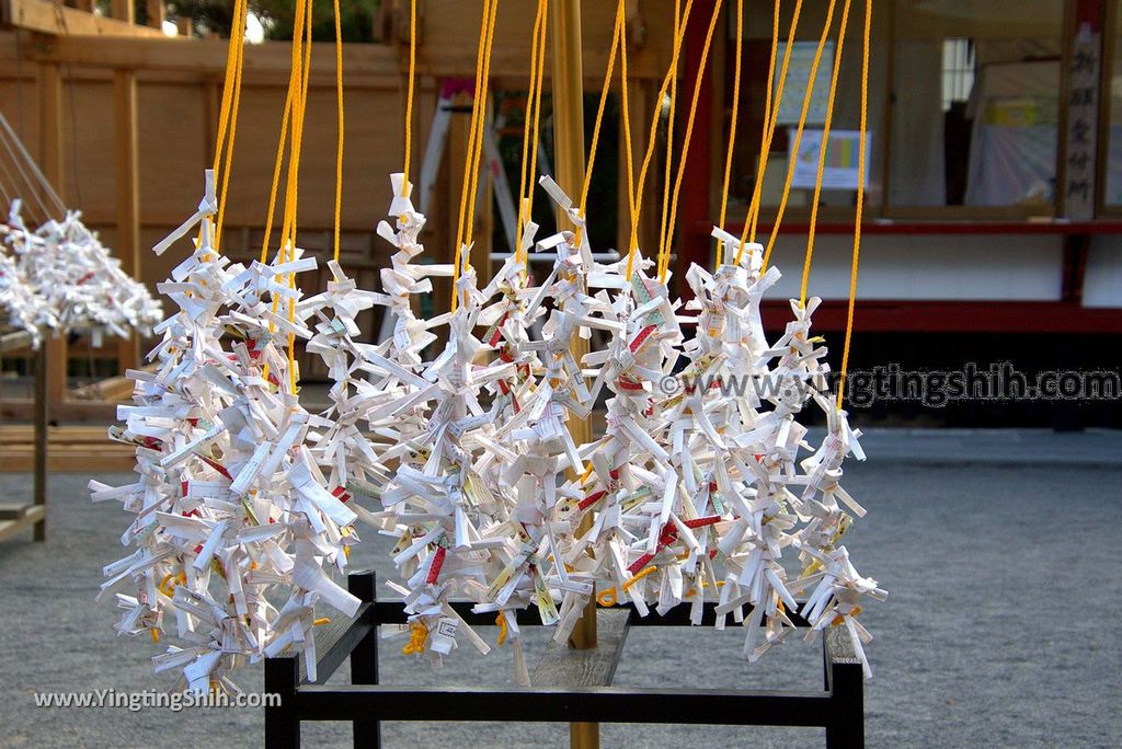 YTS_YTS_20190127_日本九州鹿兒島大隅國一之宮鹿児島神宮Japan Kyushu Kagoshima Kagoshima Shrine095_3A5A5543.jpg