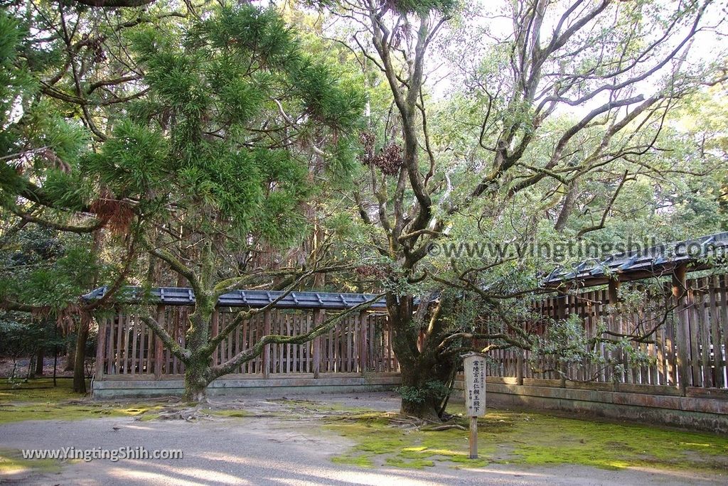 YTS_YTS_20190129_日本九州宮崎神宮／神武天皇宮／神武樣Japan Kyushu Miyazaki Shrine084_3A5A4473.jpg