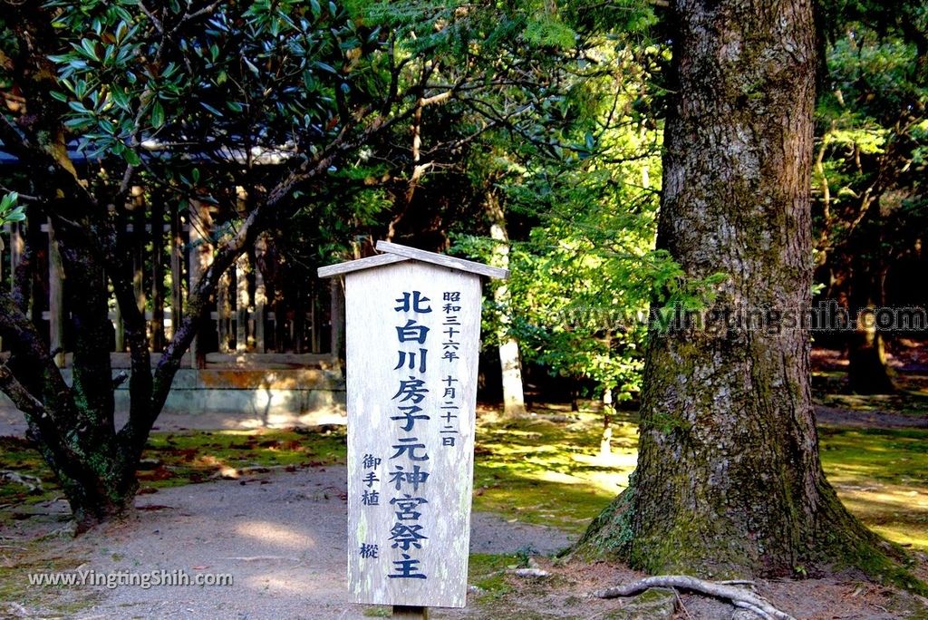 YTS_YTS_20190129_日本九州宮崎神宮／神武天皇宮／神武樣Japan Kyushu Miyazaki Shrine089_3A5A4503.jpg