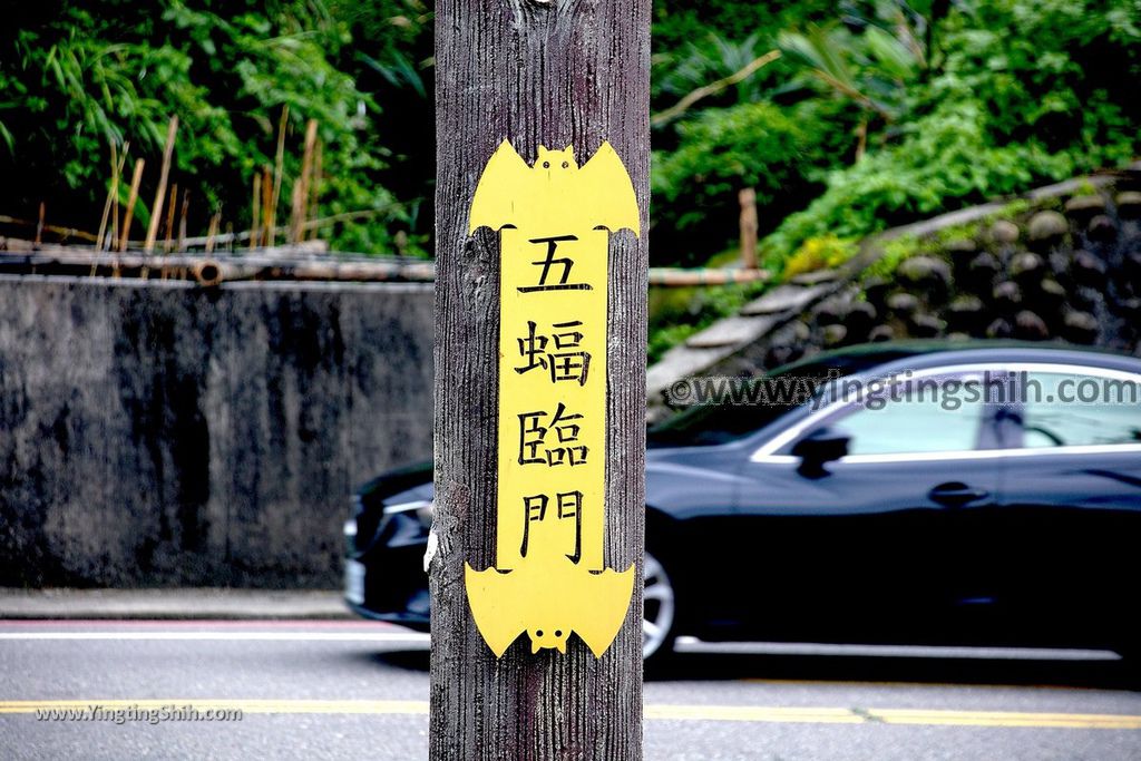 YTS_YTS_20190504_新北瑞芳蝙蝠洞公園／潛水聖地／福龍宮New Taipei Ruifang Bat Cave Park015_539A6591.jpg