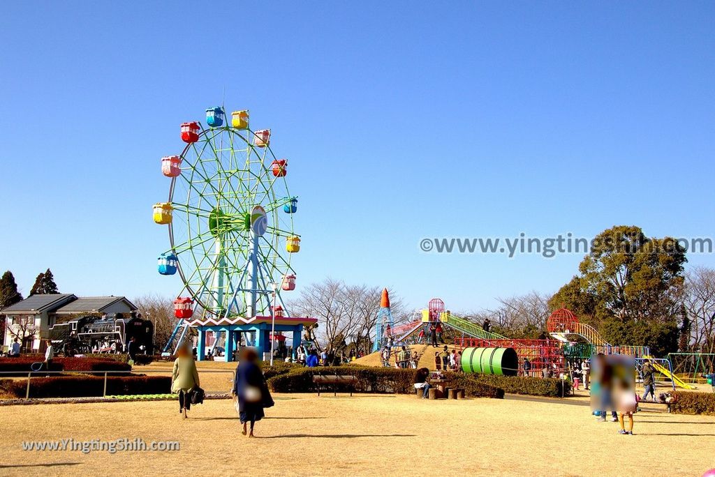 YTS_YTS_20190127_日本九州鹿兒島国分城山公園／摩天輪／賽車／鄉土館Japan Kyushu Kagoshima Kokubu Shiroyama Park020_3A5A1500.jpg