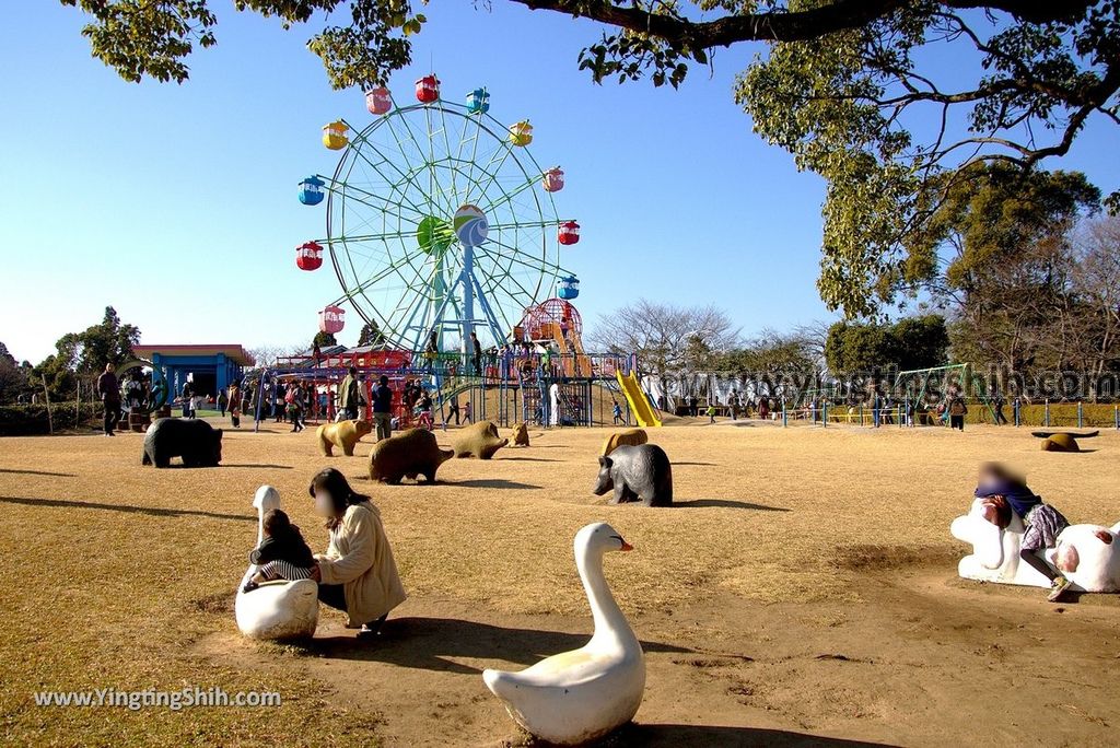 YTS_YTS_20190127_日本九州鹿兒島国分城山公園／摩天輪／賽車／鄉土館Japan Kyushu Kagoshima Kokubu Shiroyama Park022_3A5A1553.jpg