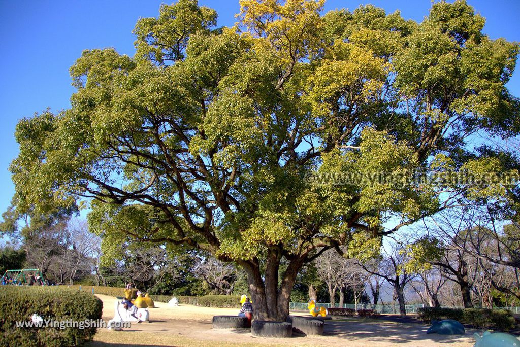 YTS_YTS_20190127_日本九州鹿兒島国分城山公園／摩天輪／賽車／鄉土館Japan Kyushu Kagoshima Kokubu Shiroyama Park021_3A5A1541.jpg