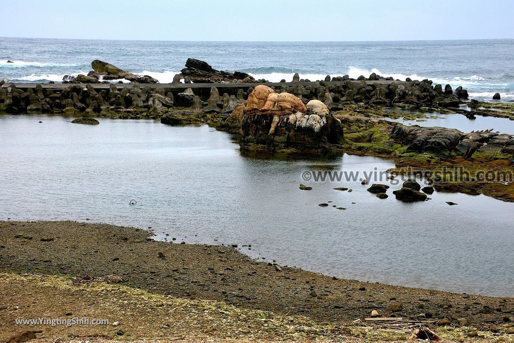 YTS_YTS_20190504_新北瑞芳南雅漁港／南新宮／南福宮New Taipei Ruifang Nanya Fishing Port016_539A7286.jpg