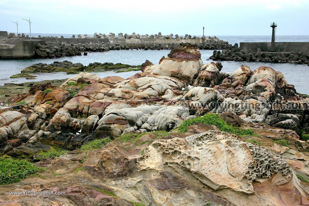 YTS_YTS_20190504_新北瑞芳南雅漁港／南新宮／南福宮New Taipei Ruifang Nanya Fishing Port020_539A7282.jpg