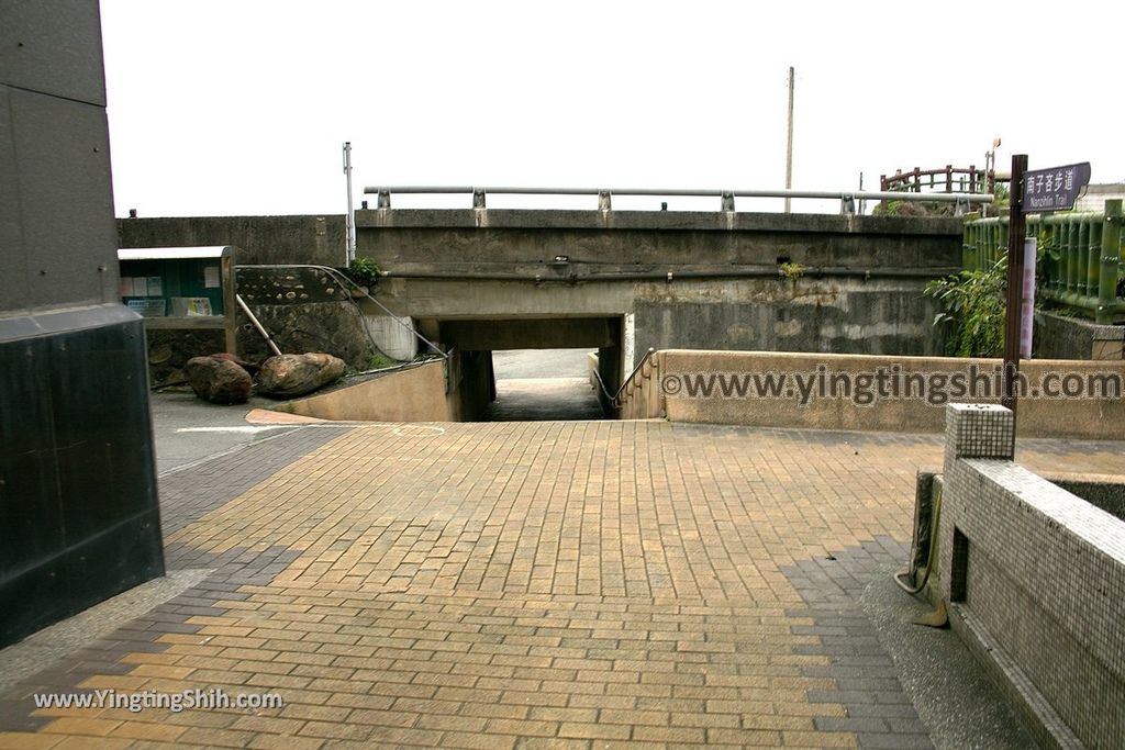 YTS_YTS_20190504_新北瑞芳三百六十度絕景懸崖／南子吝步道New Taipei Ruifang Nanzihlin Trail008_539A7625.jpg