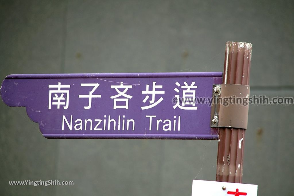 YTS_YTS_20190504_新北瑞芳三百六十度絕景懸崖／南子吝步道New Taipei Ruifang Nanzihlin Trail007_539A7341.jpg